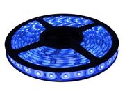 Lâmpada LED Fita LED Flexível 24V Azul Rolo 5 Mts - 6369